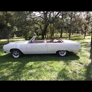 Meet your Posher, Robbie